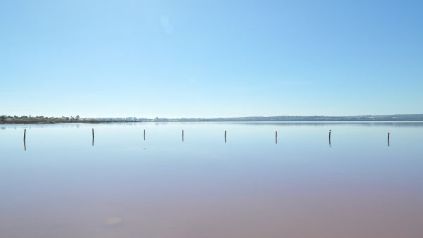 Torrevieja: Kostenlose Öko-Routen im Naturpark La Mata