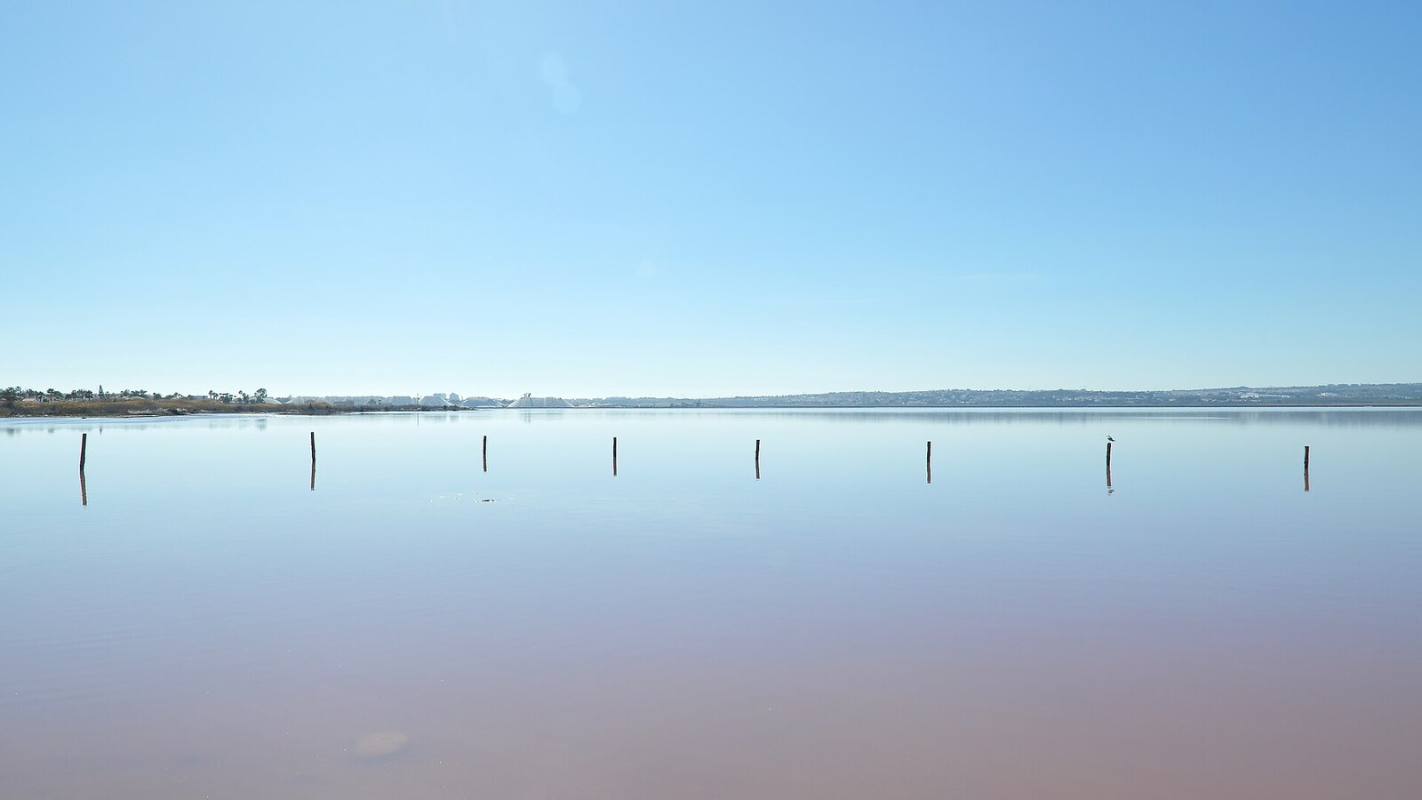 Spiegelglatte Lagune von Torrevieja mit Holzpfählen im rosafarbenen Wasser.